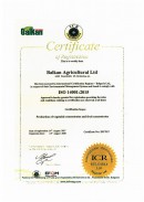 11Balkan_Certificate-EMS