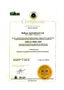 13Balkan_Certificate-OHSMS