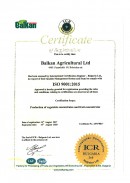 14Balkan_Certificate-QMS