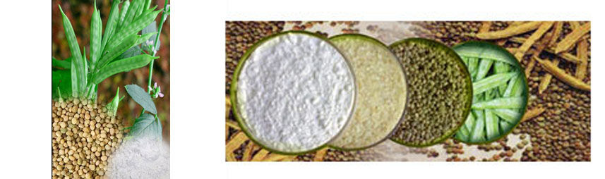 Guar Gum Eucom doo